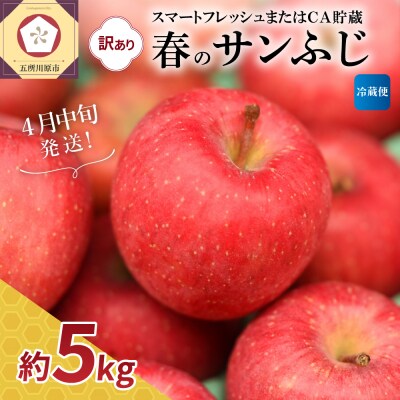 【2026年4月中旬発送】【訳あり】春のサンふじ りんご 約5kg スマフレ貯蔵またはCA貯蔵
