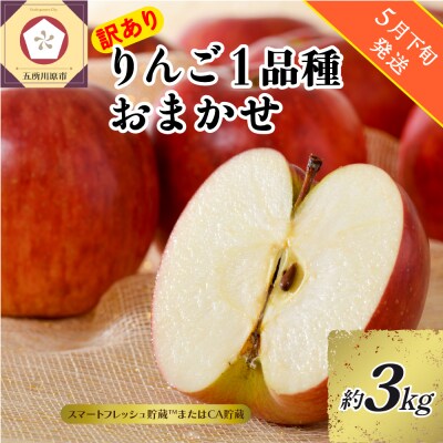 【2026年5月下旬発送】【訳あり】りんご約3kg 青森産【おまかせ1品種】スマフレTM・CA
