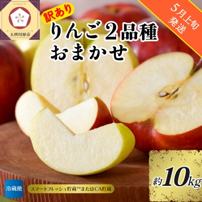 【2026年5月上旬発送】【訳あり】りんご 約10kg 青森産【おまかせ2品種】スマフレTM・CA