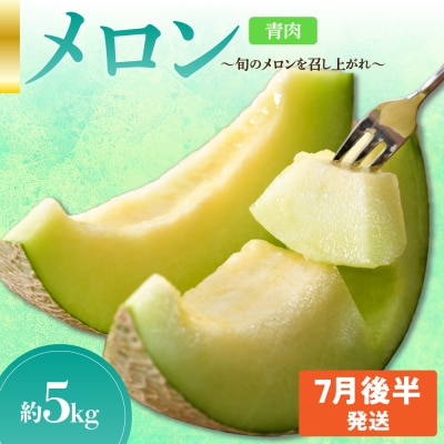 先行受付【2026年7月後半発送】【秀～優品】津軽平野のメロン 約5kg程度(青肉) 