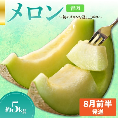 先行受付【2026年8月前半発送】【秀～優品】津軽平野のメロン 約5kg程度(青肉) 