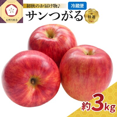 りんご 9月 3kg サンつがる 特選 青森 クール便【2025年】