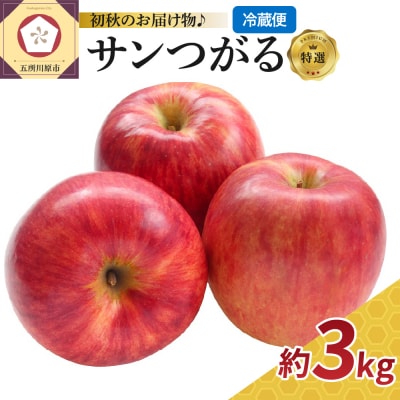 【9月発送】 りんご 3kg サンつがる ≪特選≫ 青森県産 【2026年 フルーツ】