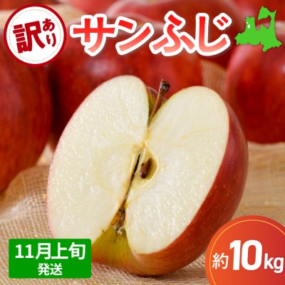 【2025年11月上旬発送】 【訳あり】 りんご 10kg サンふじ 青森 不揃い