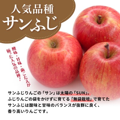 【2025年11月上旬発送】 【訳あり】 りんご 10kg サンふじ 青森 不揃い