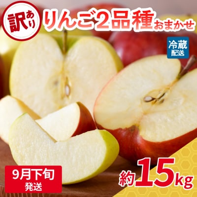 【2025年9月下旬発送】 【訳あり】 旬の美味しい りんご 約15kg 青森産 【おまかせ2品種】