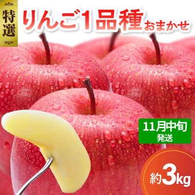 【2026年11月中旬発送】 【特選】 旬の美味しい りんご 約3kg 青森産 【おまかせ1品種】