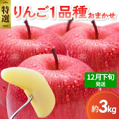 【2026年12月下旬発送】 【特選】 旬の美味しい りんご 約3kg 青森産 【おまかせ1品種】