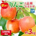【2025年9月中旬発送】【訳あり】おまかせりんご3kg程度 青森【おまかせ1品種】