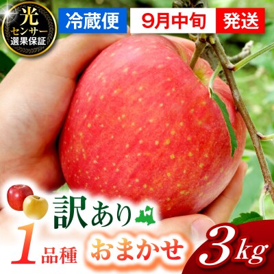 【2026年9月中旬発送】【訳あり】おまかせりんご3kg程度 青森【おまかせ1品種】