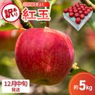 【2025年12月中旬発送】【訳あり】 りんご 5kg 紅玉 アップルパイ に最適 青森 不揃い