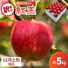 【2025年12月上旬発送】【訳あり】 りんご 5kg 紅玉 アップルパイ に最適 青森 不揃い