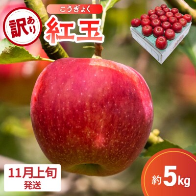 【2026年11月上旬発送】【訳あり】 りんご 5kg 紅玉 アップルパイ に最適 青森 不揃い