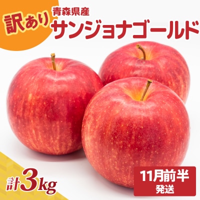 y2025N11OzXYw󂠂xTWiS[h3kg