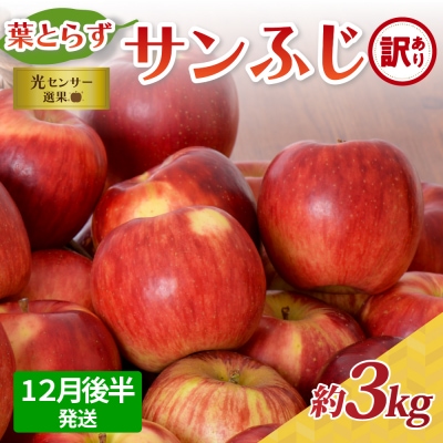 【2025年12月後半発送】【訳あり】青森県産葉とらずサンふじりんご約3kg