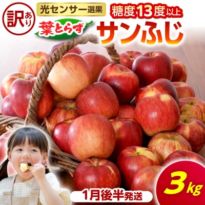 【2027年1月後半発送】【訳あり】青森県産 葉とらず サンふじ りんご 約3kg