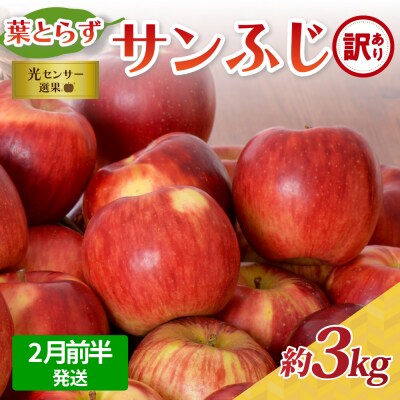 【2026年2月前半発送】【訳あり】青森県産葉とらずサンふじりんご約3kg