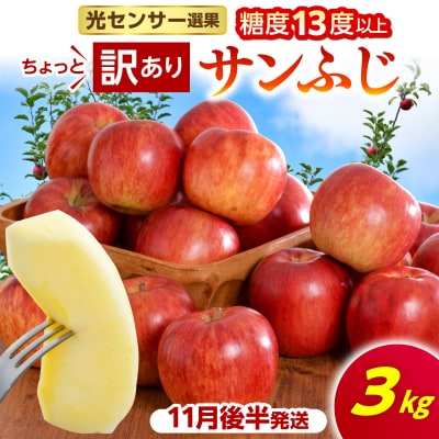 【2026年11月後半発送】【ちょっと訳あり】 りんご 約3kg サンふじ 青森産