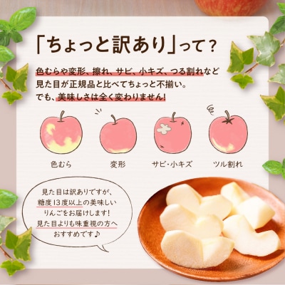 【2025年12月後半発送】【ちょっと訳あり】サンふじ 約3kg