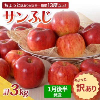 【2026年1月後半発送】【ちょっと訳あり】サンふじ 約3kg