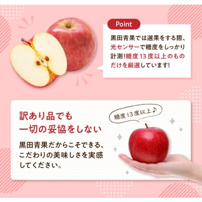 【2027年3月後半発送】【ちょっと訳あり】 りんご 約3kg サンふじ 青森産