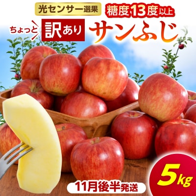 【先行受付】【2026年11月後半発送】【ちょっと訳あり】サンふじ5kg
