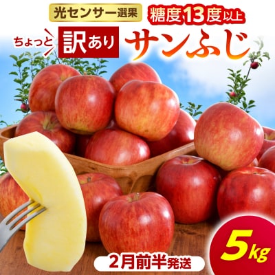 【先行受付】【2027年2月前半発送】【ちょっと訳あり】サンふじ5kg