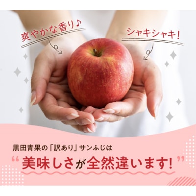 【先行受付】【2027年3月後半発送】【ちょっと訳あり】サンふじ5kg