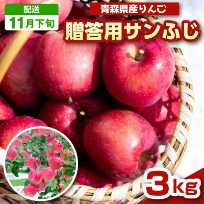 りんご サンふじ 3kg 程度 贈答 【2026年11月下旬発送】 青森 五所川原市 小林りんご農園