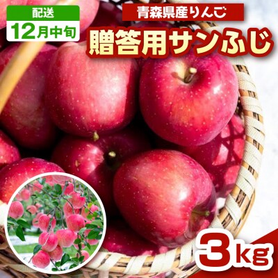 りんご サンふじ 3kg 程度 贈答 【2026年12月中旬発送】 青森 五所川原市 小林りんご農園