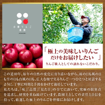 りんご 4品種セット 5kg 贈答 【2025年11月中旬発送】 ふじ サンふじ 王林 金星 青森