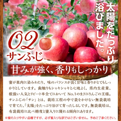 りんご 4品種セット 5kg 贈答 【2026年11月中旬発送】 ふじ サンふじ 王林 金星 青森