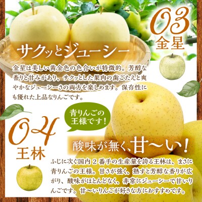 りんご 4品種セット 5kg 贈答 【2026年11月中旬発送】 ふじ サンふじ 王林 金星 青森
