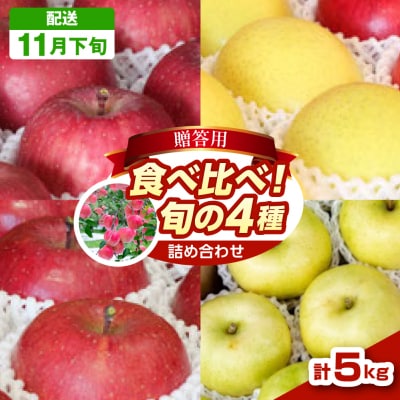 りんご 4品種セット 5kg 贈答 【2025年11月下旬発送】 ふじ サンふじ 王林 金星 青森