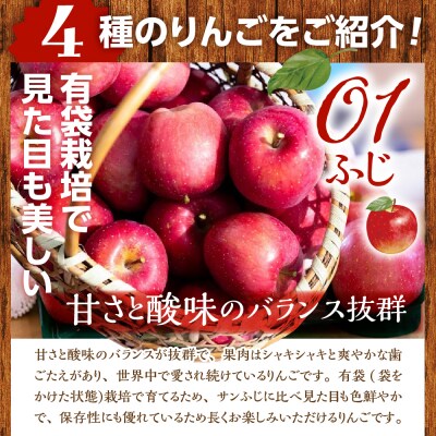 りんご 4品種セット 5kg 贈答 【2026年11月下旬発送】 ふじ サンふじ 王林 金星 青森