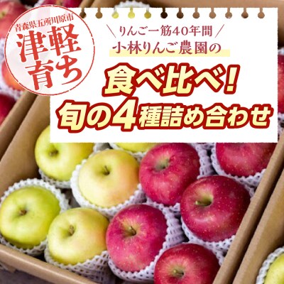 りんご 4品種セット 5kg 贈答 【2025年12月上旬発送】 ふじ サンふじ 王林 金星 青森