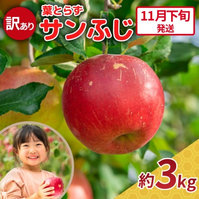 【2025年11月下旬発送】りんご 3kg 程度 葉とらず サンふじ 《訳あり》 青森産 五所川原市