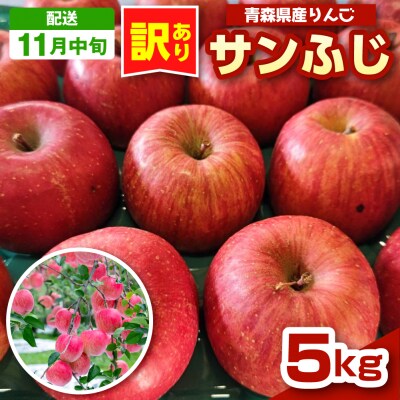 りんご 青森 サンふじ 5kg 程度 訳あり 【2026年11月中旬発送】 五所川原 小林りんご農園