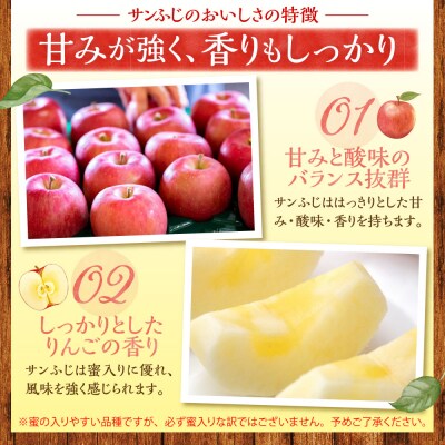 りんご 青森 サンふじ 5kg 程度 訳あり 【2026年11月中旬発送】 五所川原 小林りんご農園