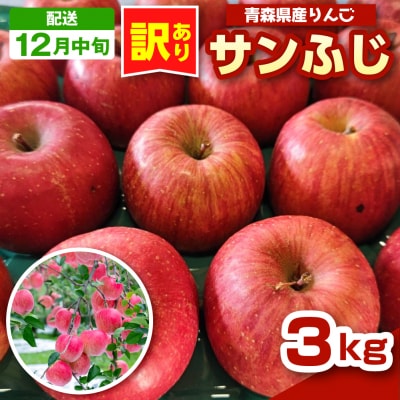 りんご 青森 サンふじ 3kg 程度 訳あり 【2026年12月中旬発送】 五所川原 小林りんご農園