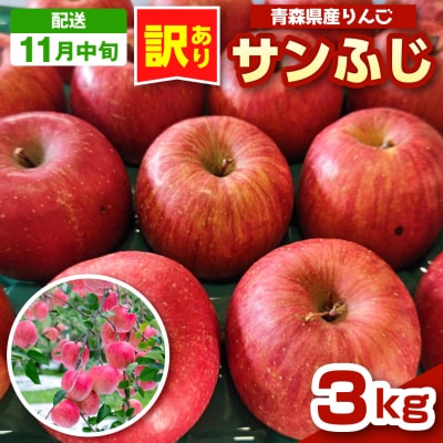 りんご 青森 サンふじ 3kg 程度 訳あり 【2026年11月中旬発送】 五所川原 小林りんご農園