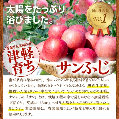 りんご 青森 サンふじ 3kg 程度 訳あり 【2025年11月下旬発送】 五所川原 小林りんご農園