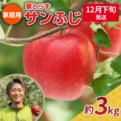 【2025年12月下旬発送】りんご 3kg 程度 葉とらず サンふじ 《家庭用》 青森県 五所川原市