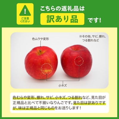 【訳あり】 りんご 約3kg 紅玉 青森県産