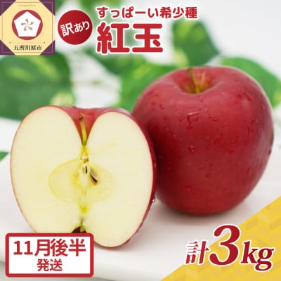 y2025N11㔼zg3kg x gʃS 󂠂 X|s 