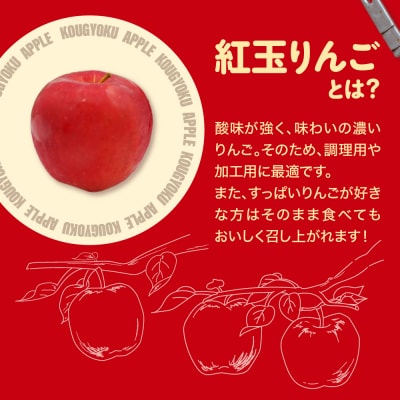 【2026年3月前半発送】紅玉3kg 程度 紅玉リンゴ 訳あり 青森|不揃い りんご