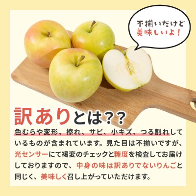 【2025年12月前半発送】【訳あり】葉とらずホワイトふじ3kg