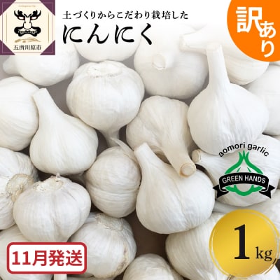 【先行受付】【11月発送】 【訳あり】青森県産にんにく1kg