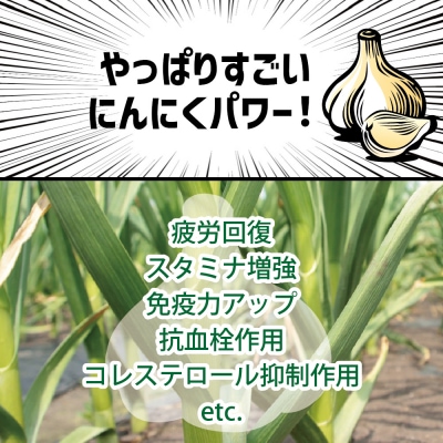【先行受付】【11月発送】【訳あり】青森県産にんにく3kg(1kg×3)