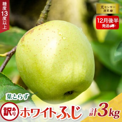 【2025年12月後半発送】【訳あり】葉とらずホワイトふじ3kg
